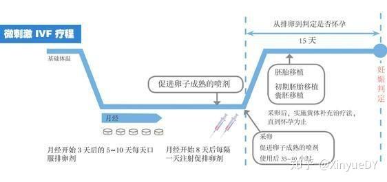 试管婴儿前为何需要进行促排卵？