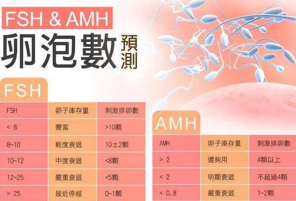 卵巢功能评估