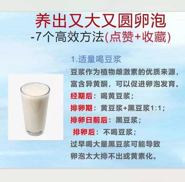 养护卵泡