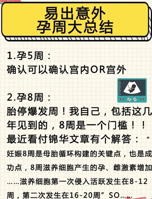 胎停几率