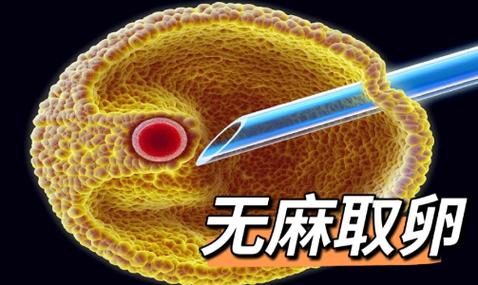 取卵 9 个