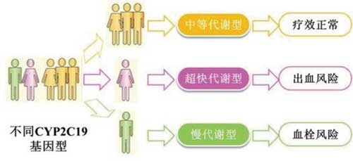 个体差异