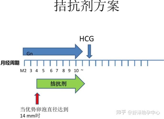试管婴儿、促排卵血清、辅助生殖技术