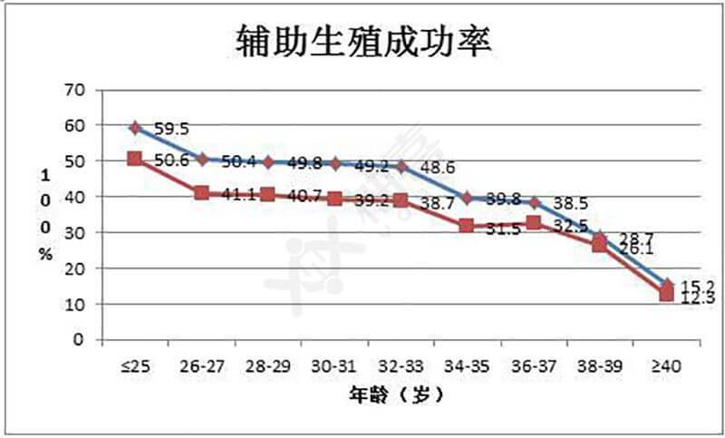 试管婴儿、移植成功率、辅助生殖技术