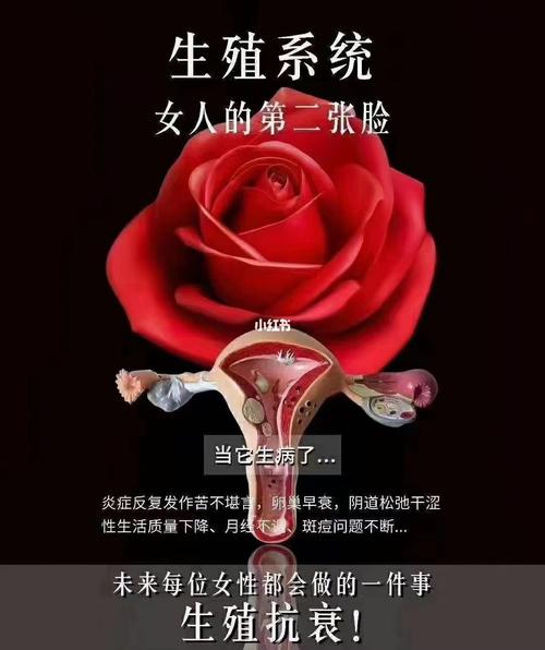 生殖系统功能改善
