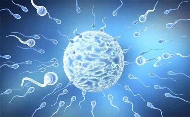 上海试管婴儿二代技术、男性不育、受孕成功率、医疗团队专业