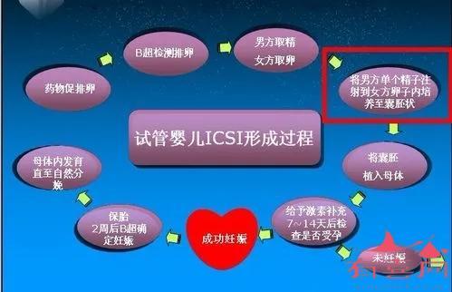 ICSI
【描述】：本文全面解析了二代试管婴儿的费用及其影响因素，包括地区差异、医院选择、治疗方案、药物费用等，并通过表格对比了不同情况下的费用差异，帮助患者更好地了解和选择适合自己的治疗方案。