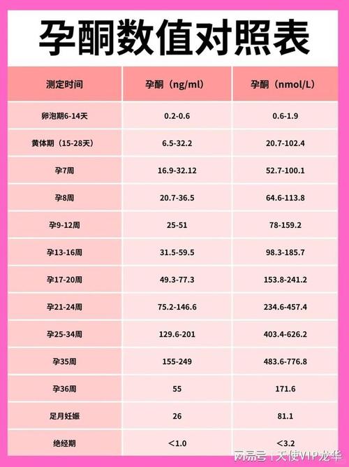怀孕率