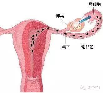 着床位置