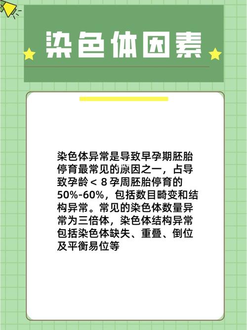  胚胎因素