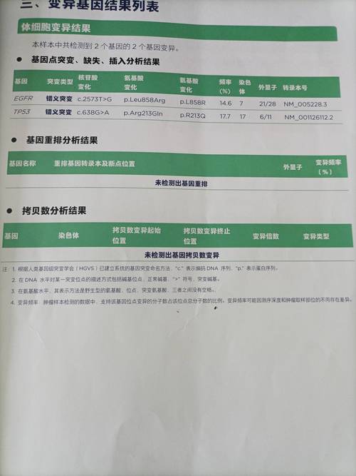检测结果