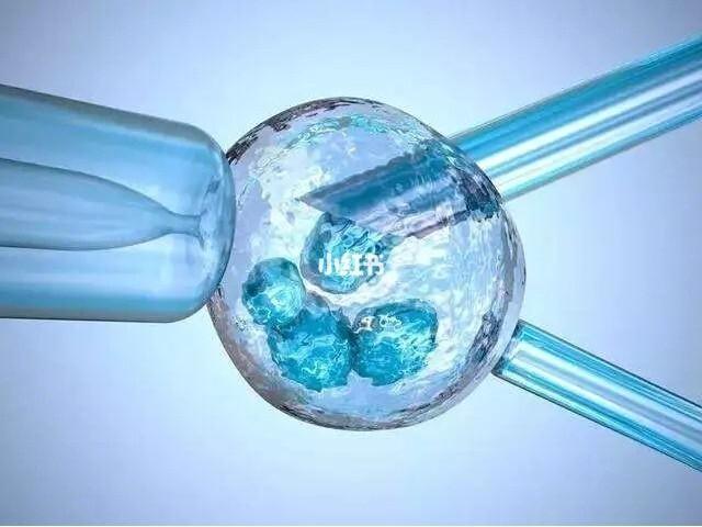 泰国供卵试管
