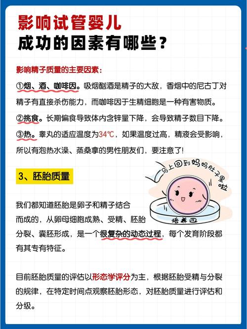 成功率影响因素