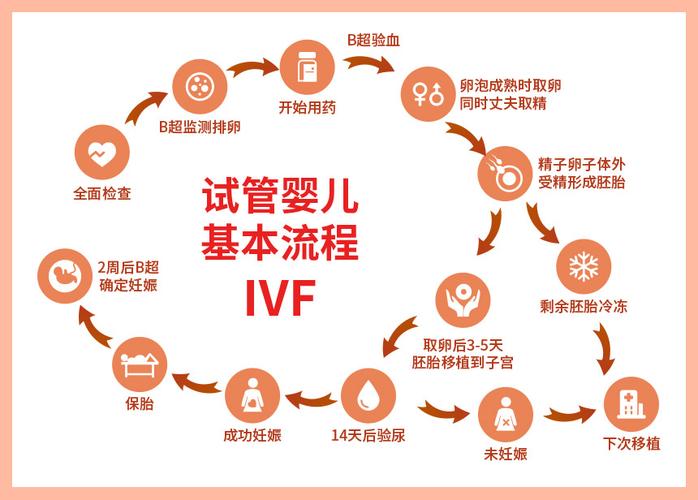 一代试管婴儿方案