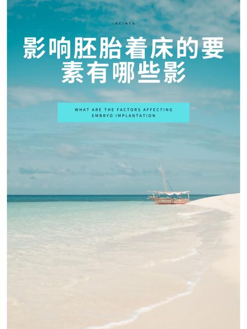 胚胎着床影响
