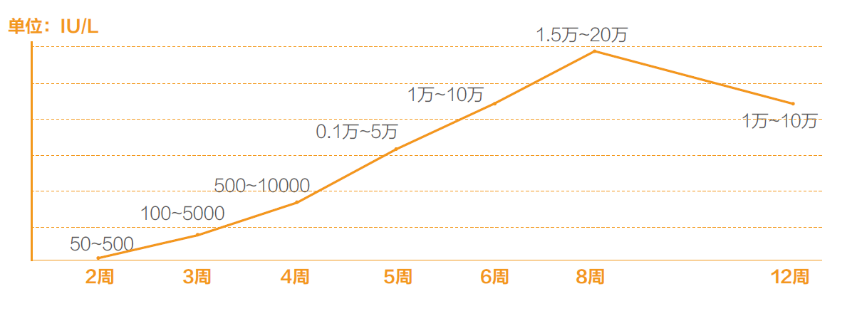 HCG 趋势图