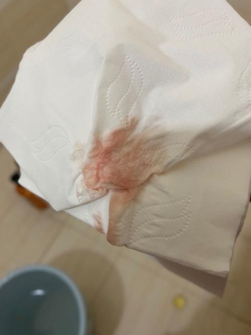 囊胚生化
