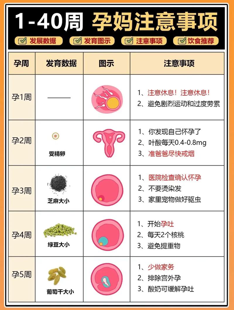 怀孕最佳时期