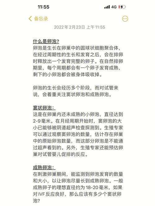 大瘦试管婴儿成功率究竟有多高？专家解析