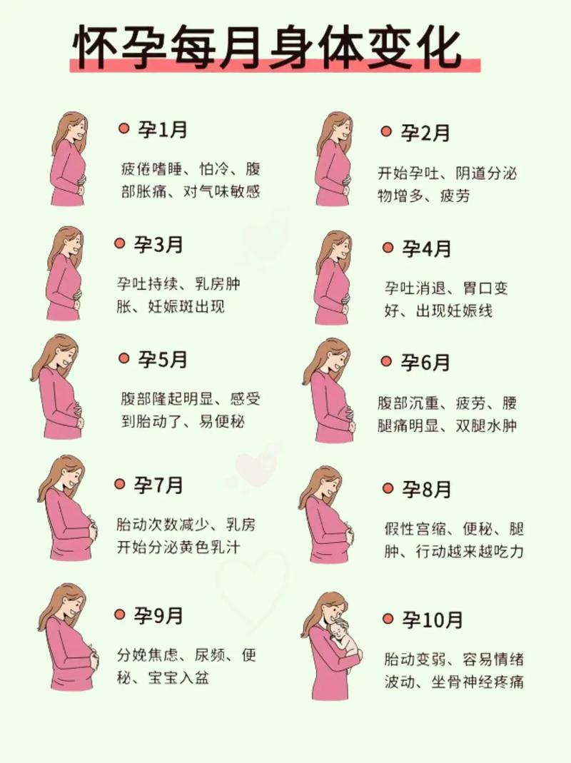  身体变化