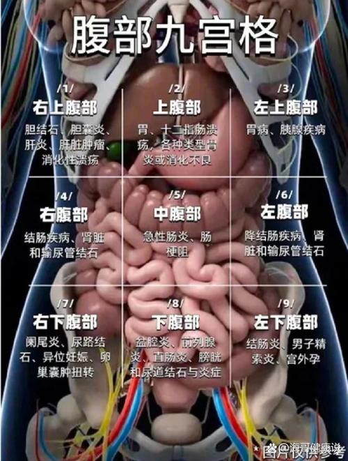 移植后胃疼