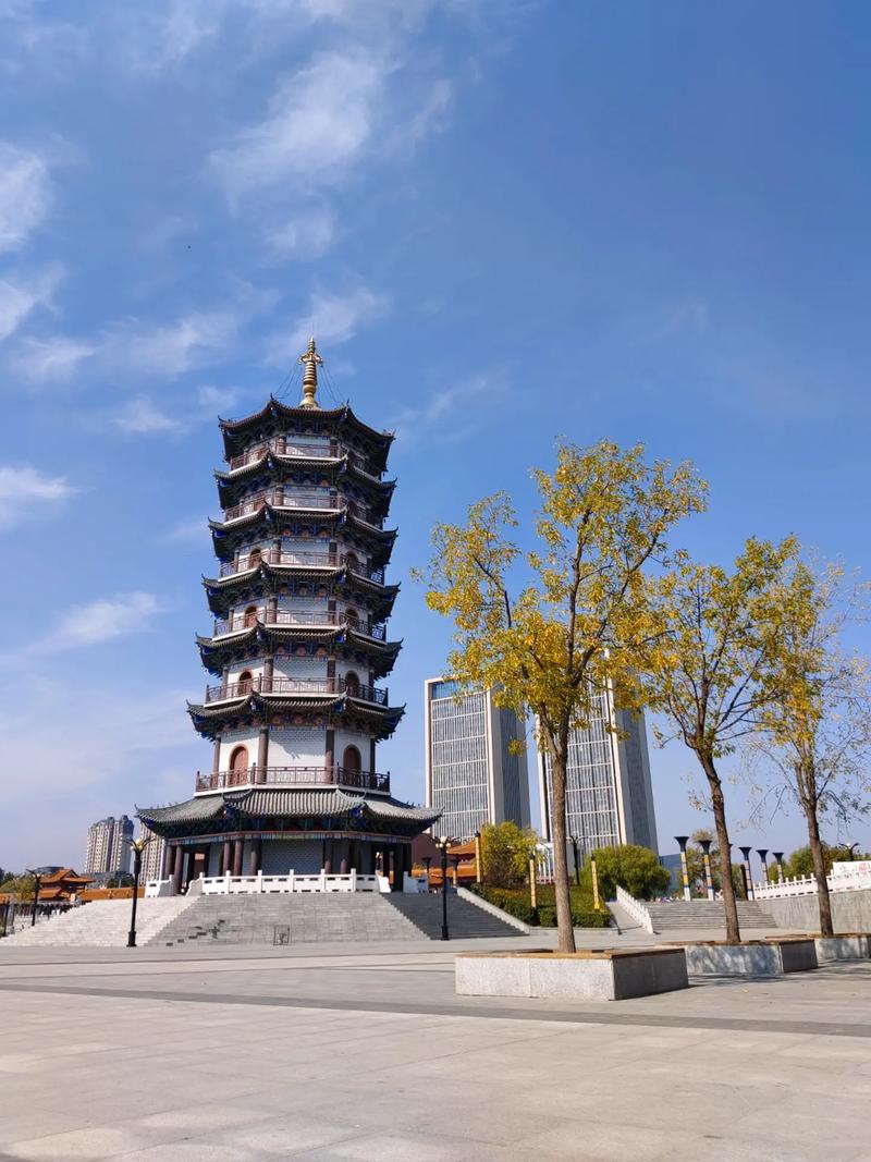  德州市