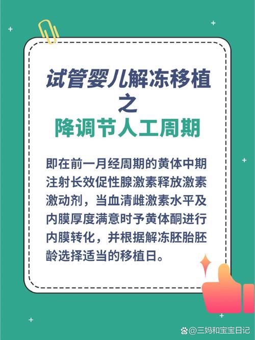 试管婴儿解冻移植时间