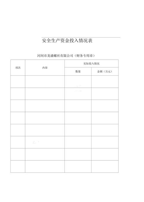 资金投入