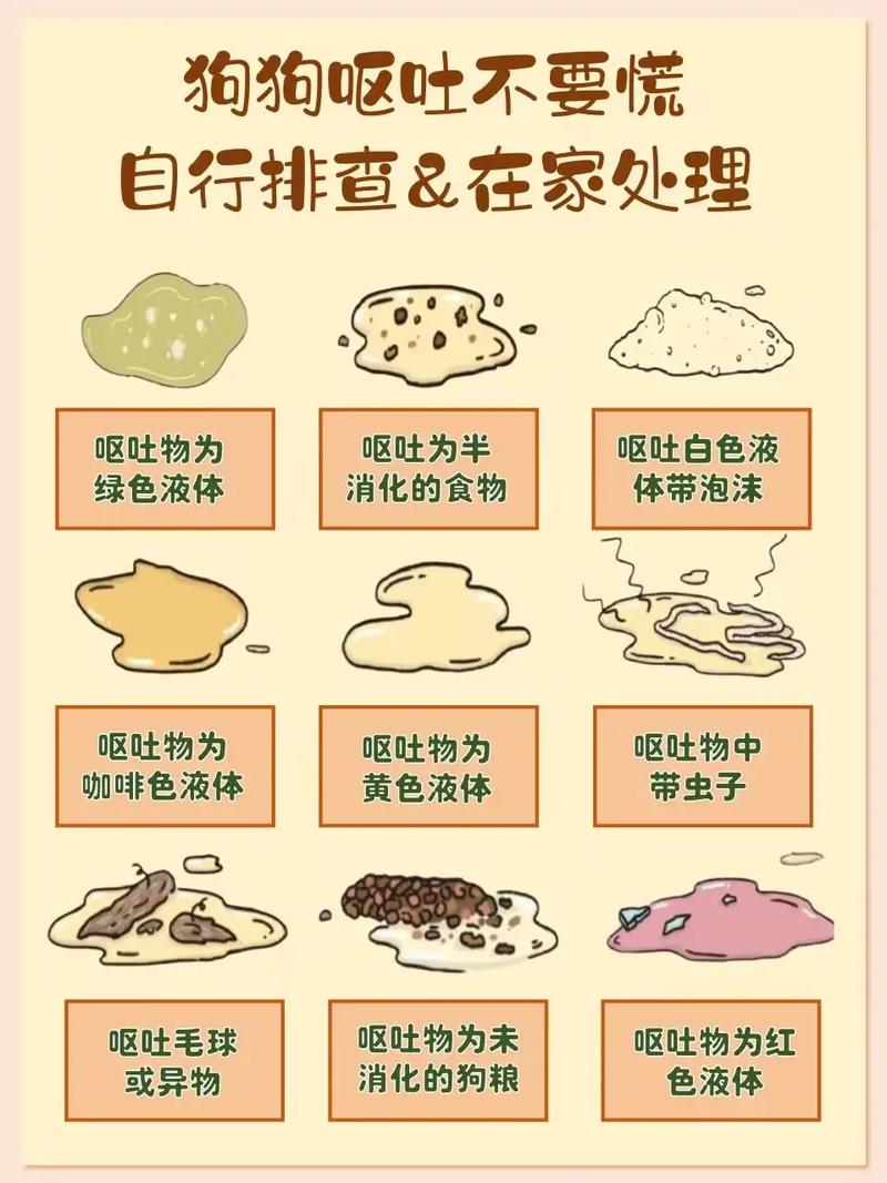 恶心呕吐应对措施