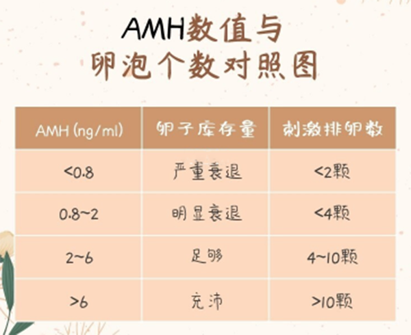 <卵泡数量>