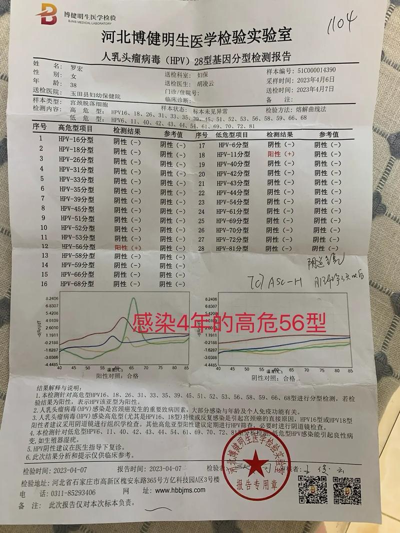 hpv阳性