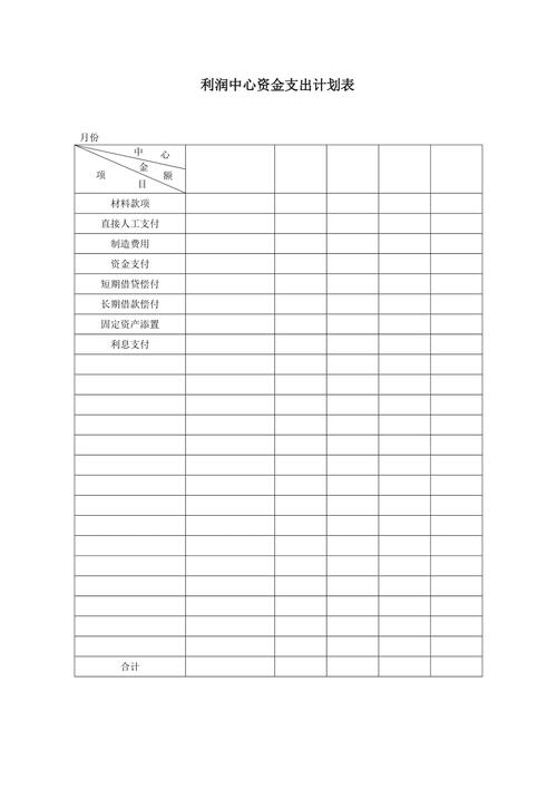  支出规划