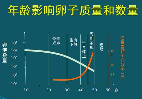 试管婴儿双胎、成功率、影响因素、医疗技术