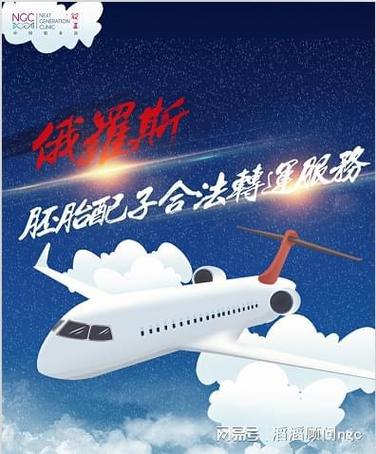 胚胎运输