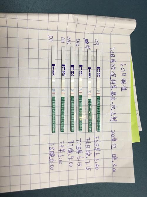 试管婴儿成功后多久能测到HCG水平变化？
