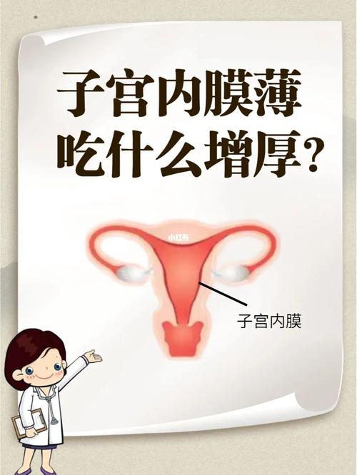 改善内膜状况