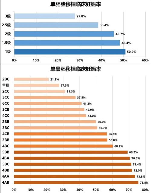 试管婴儿双胎着床率