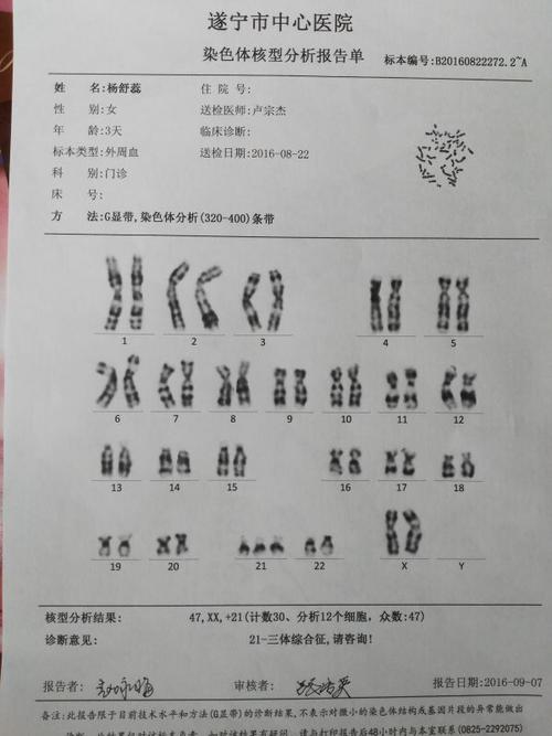 染色体异常检测