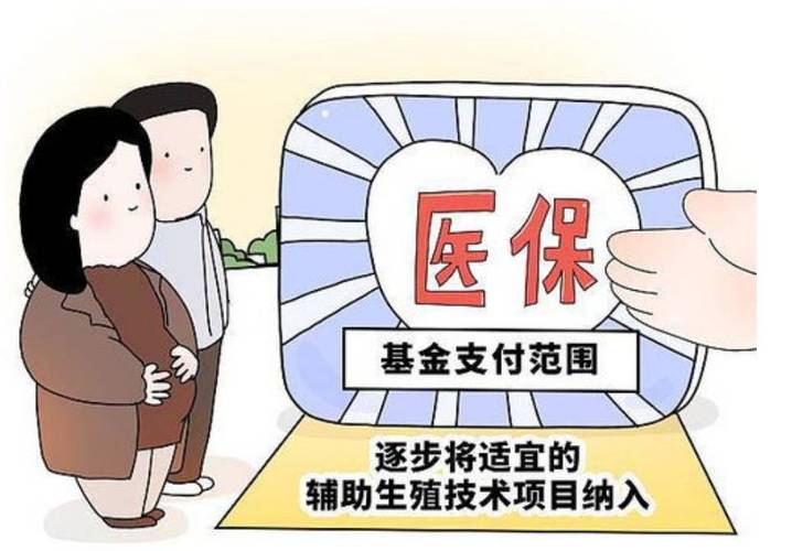  辅助生育服务