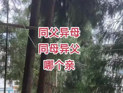 同母异父