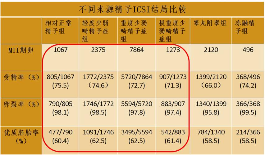 男性试管婴儿、精子质量、试管婴儿成功率