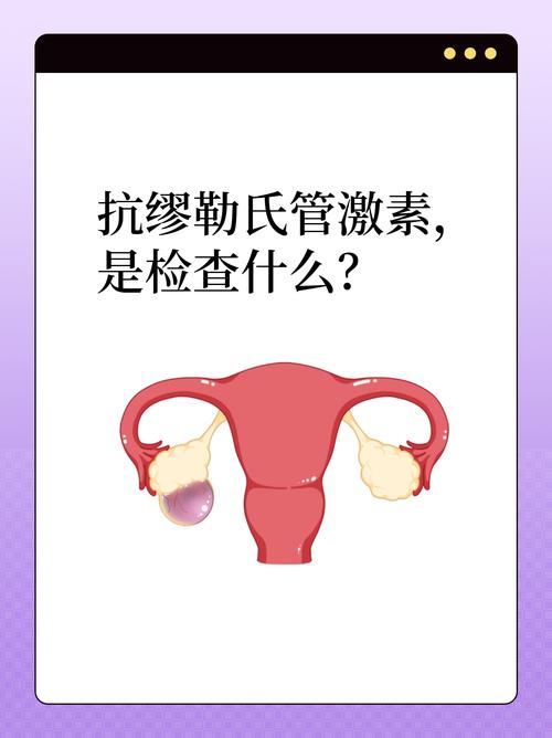抗缪勒氏管激素