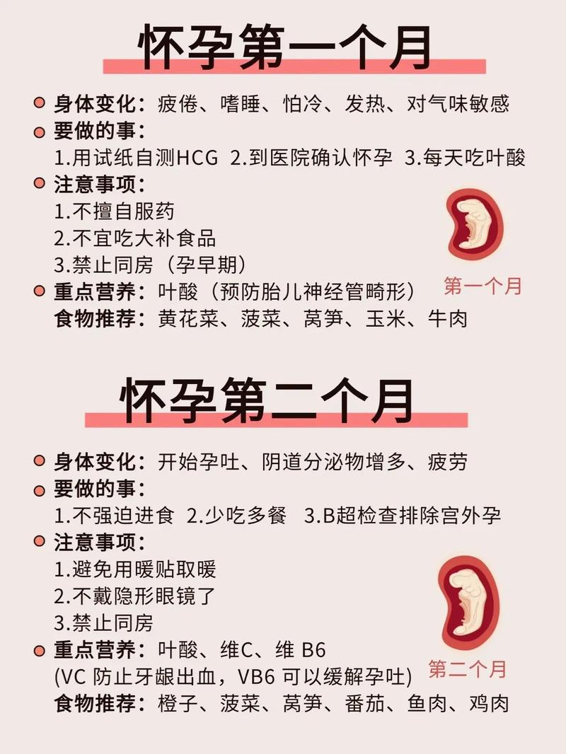  注意事项

----------【文章正文】：----------
<h1>全面解析试管怀孕周期及各阶段注意事项</h1>

<p>亲爱的朋友们，今天我们来聊聊试管婴儿这个话题。随着科技的发展，越来越多的家庭选择通过试管婴儿技术来实现生育梦想。那么，试管婴儿的怀孕周期是怎样的呢？在怀孕的各个阶段，我们又应该注意些什么呢？接下来，就让我们一起来详细了解一下吧。</p>

<h2>试管婴儿的怀孕周期</h2>

<p>试管婴儿，又称体外受精-胚胎移植技术（IVF-ET），是一种辅助生殖技术。其怀孕周期大致可