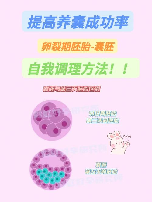 养囊成功率