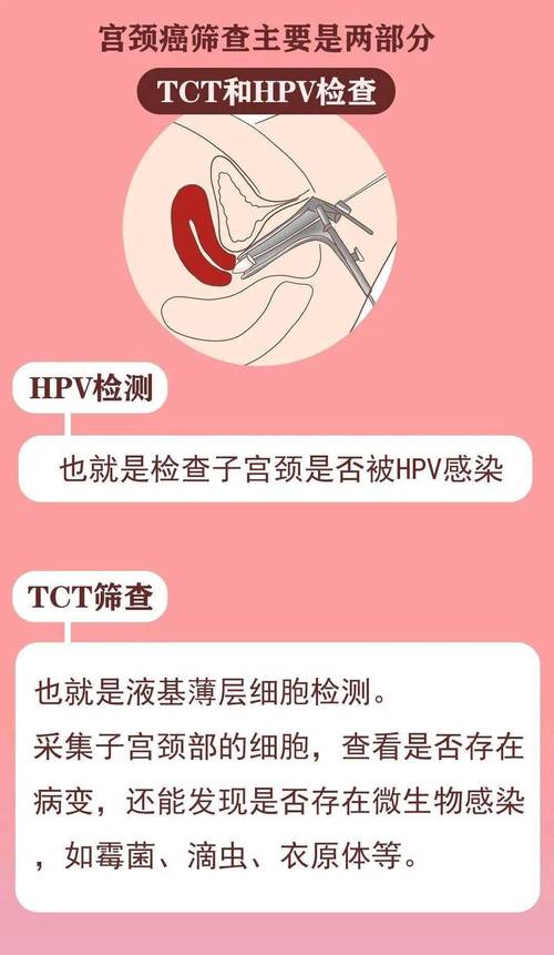 宫颈AI筛查