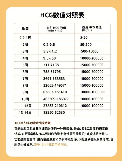  β-HCG
