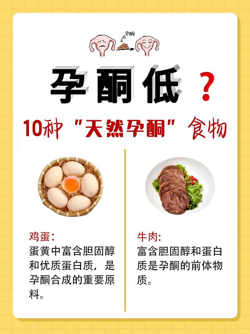 孕酮补充