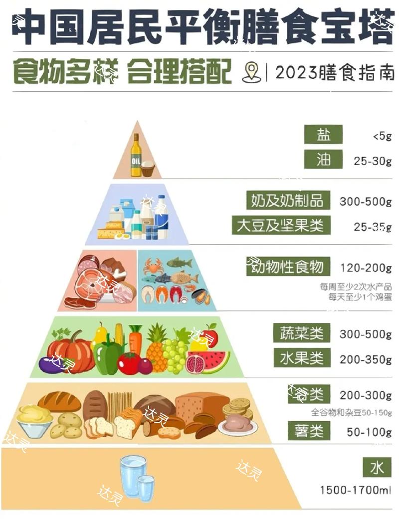  饮食指南