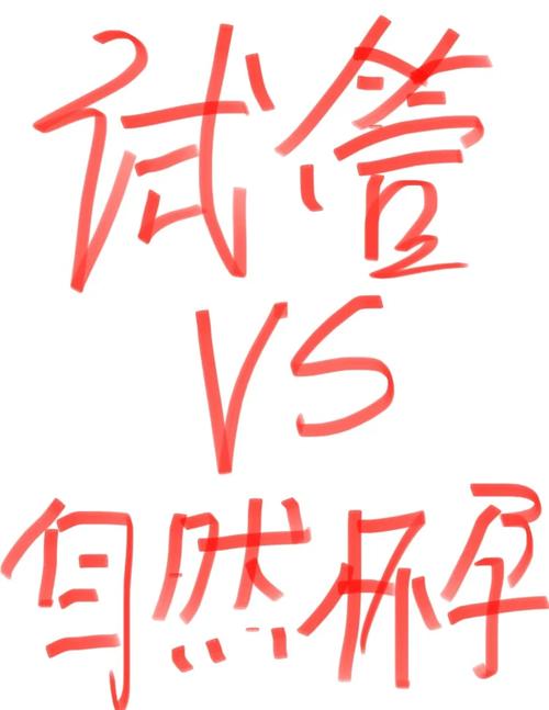  影响分析

---------- 
【文章正文】：
<h1>试管婴儿与自然受孕的主要区别与影响分析</h1>

<p>大家好，今天我们来聊聊一个既专业又贴近生活的话题——试管婴儿与自然受孕的主要区别与影响。</p>

<h2>试管婴儿技术简介</h2>
<p>试管婴儿，也称为体外受精-胚胎移植（IVF-ET），是一种辅助生殖技术。这项技术让精子和卵子在实验室环境中结合，形成胚胎后再移植到女性的子宫内，以实现怀孕的目的。</p>

<h2>自然受孕过程</h2>
<p>相比之下，自然受孕则是精子通过性交进