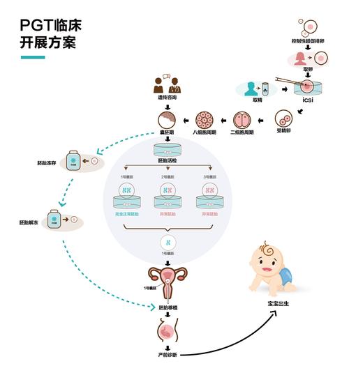 三代试管婴儿方案